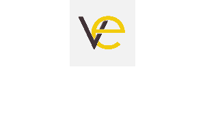 Vision Empower Trust