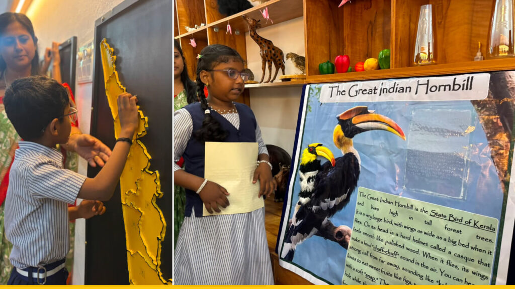 Photographs from the Nature corner of Aluva School for the Blind, Ernakulam, Kerala