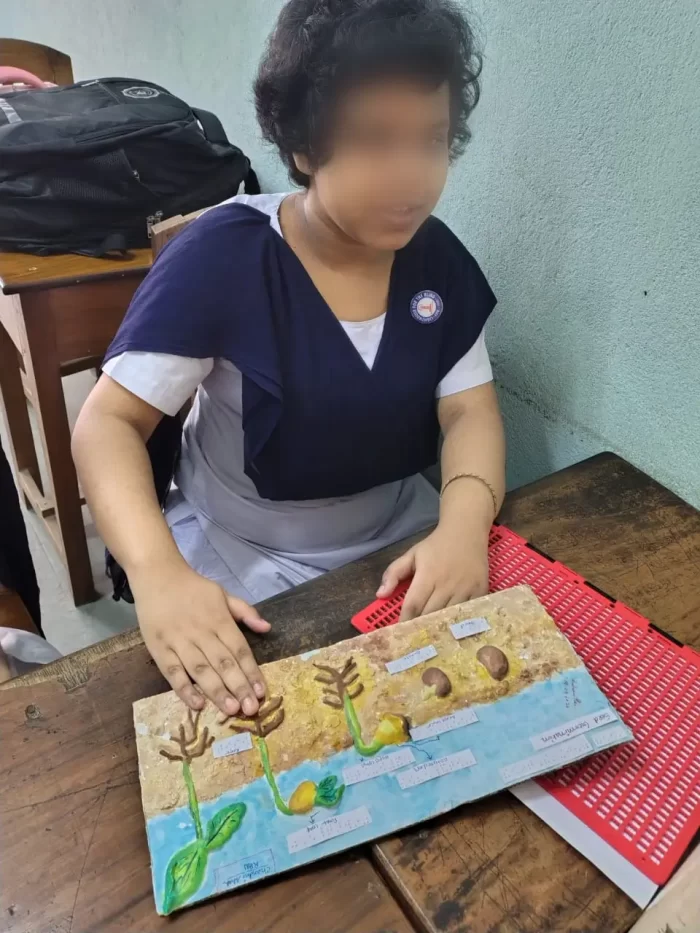 A girl student in uniform with her hands over a tactile board showing the various germination stages of a plant.
