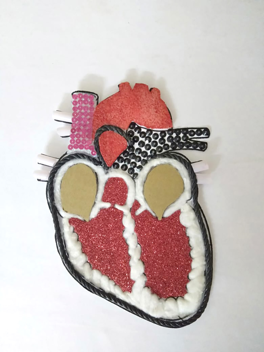 Human Heart