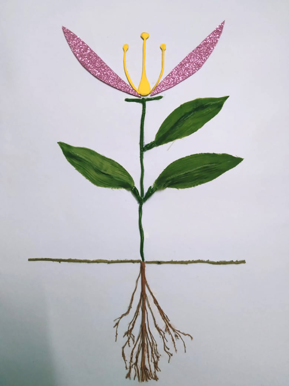 Parts of a Plant