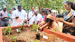 Picture of a nature corner with people around