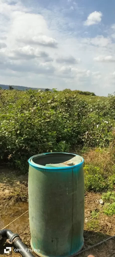 Drum to collect rainwater