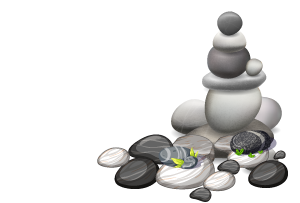 PEBBLE GAMES